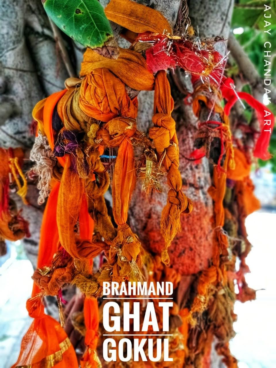 Brahmand Ghat, Gokul, India